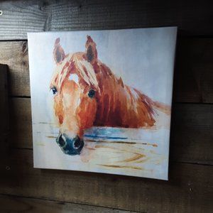Cute  Little Horse Canvas Print on Wood Frame
